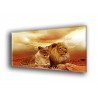 50702-Leones ocre